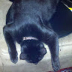 Meet your Posher, Jack